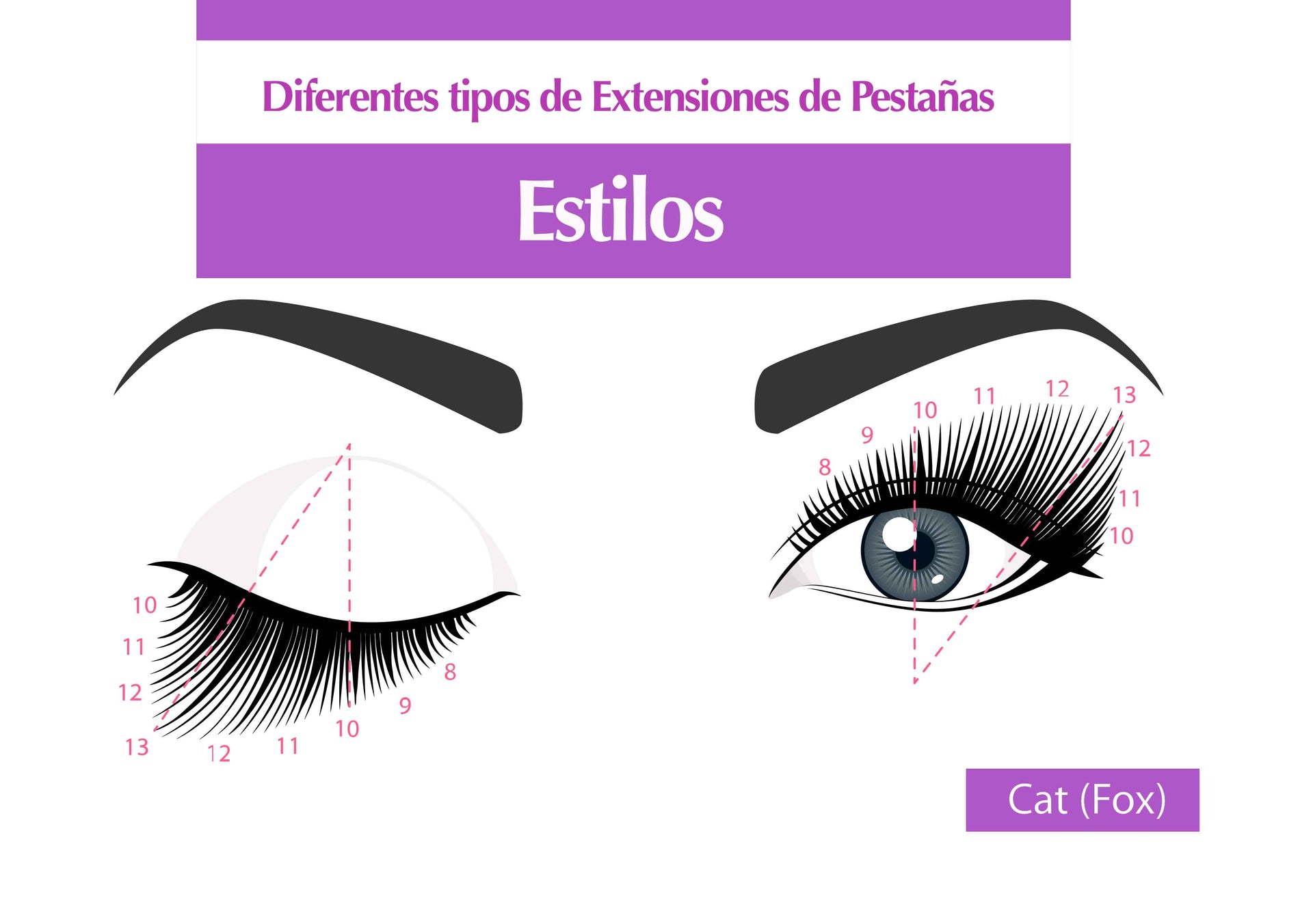 Diseño de tus extensiones